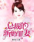 总裁的新婚罪妻 小说