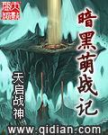 暗黑萌战记 职业和技能