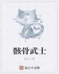 骸骨武士接卡口贴吧