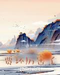 红楼之贾环厉害了学无纸净