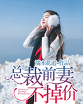 总裁前妻不掉价沈蔚蓝txt