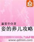 妾的养儿攻略完整版