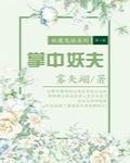 掌中妖夫TXT下载
