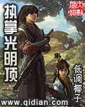 执掌光明顶小说完结了没有