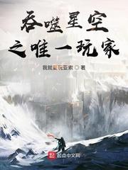 吞噬星空之唯一玩家是什么类型的小说