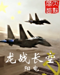 龙战长空免费