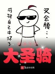 美漫世界大圣骑 小说