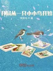 开局从一只小小鸟开始的小说