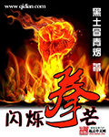 闪拳专栏