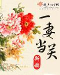 一妻当关 不系舟