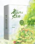 精灵:我的精灵太会撩 叫我阿莲