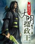 重生之大明摄政王 晓风(书馆)