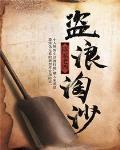 盗浪淘沙电影视频