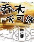 乔木不可休全文阅读