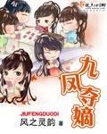 九凤夺嫡免费观看全集高清