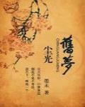 尘光旧梦完整小说百度云网盘