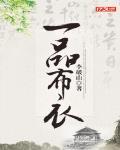 一品布衣小说免费阅读