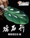 赌石行小说