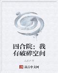 四合院:我有破碎空间免费阅读