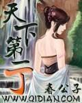 天下第一丁笔趣阁