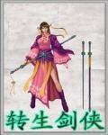 转生为剑的小说