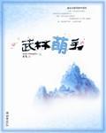 武林萌主游戏