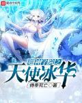 超神学院之天使冰华笔趣阁