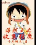 海贼之收藏家