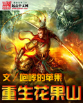 重生花果山TXT下载八零