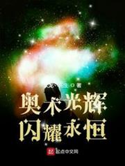 奥术光辉闪耀永恒txt