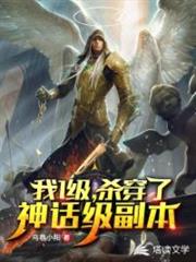一级我杀穿了神话级副本 乌巷小阳