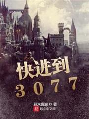 快进到3077等级设定