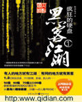 疯狂的硬盘小说