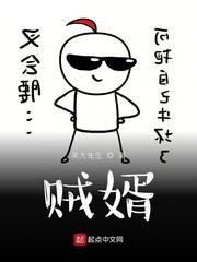 贼婿第二部免费观看