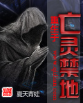 亡灵禁地 小说