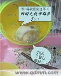 网游之杀手之王