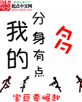 我的分身好像有点太多了免费阅读
