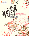 嫡锦 小说