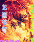 小说龙道