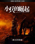 小兵崛起类小说