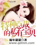 特种总裁的私有宝贝小说