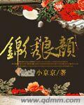 锦绣良缘(上) 小说
