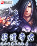 符道帝尊 小说