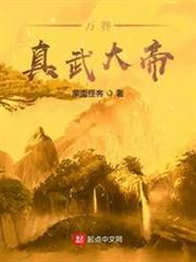 万界真武大帝蒙面怪客TXT
