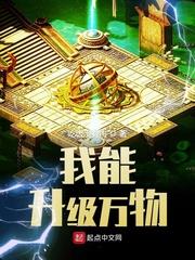 我能升级万物等级