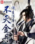 不灭金丹 小说