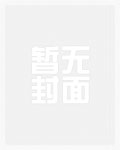 文娱的良心小说