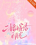 二婚嫁给白月光免费阅读小说