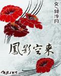 凤影空来小说