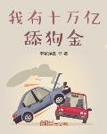我有十万亿美元小说